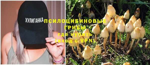 молекула духа Арсеньев