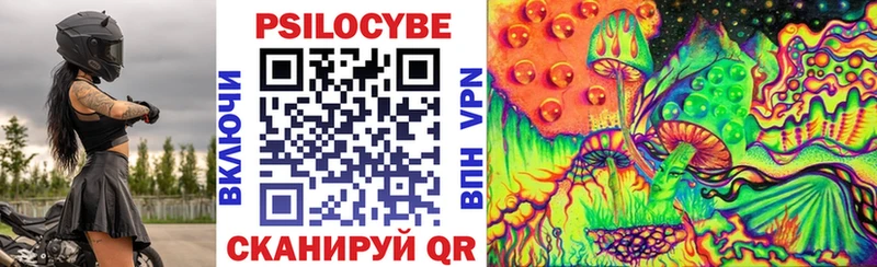 Галлюциногенные грибы Psilocybe  Суоярви 